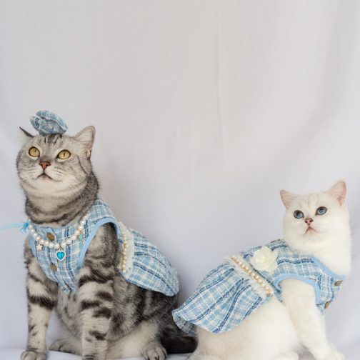 Pet Skirt Cat Fashion Cute Dress - Image 10