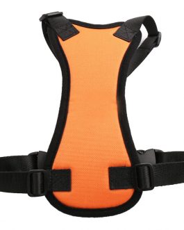 Car seat belts for pets