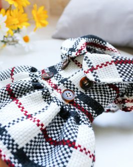 Dog Transformation Dress New Cat Apparel Pet Apparel Warm Princess Fragrant Wind Doll Collar Skirt Plaid Retro