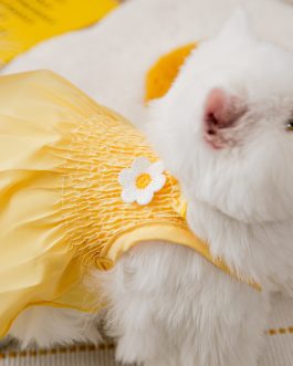 Sunflower Dog Two Foot Dress Pet Clothes