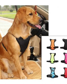 Car seat belts for pets
