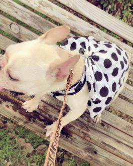 Dog Black Senior Cute Tutu Skirt