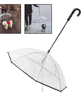 Dog’s Transparent Umbrella With Traction Chain Removable Umbrella Pet Products