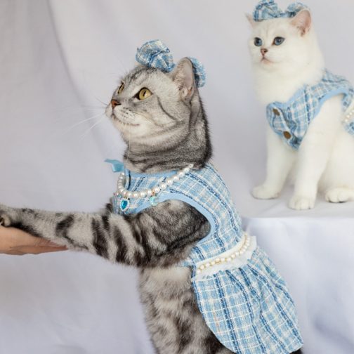 Pet Skirt Cat Fashion Cute Dress - Image 7