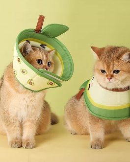 Cat Cone Collar Pet Elizabethan Collar Cat Collar Soft To Stop Licking After Surgery Cat Recovery Collar For Small Large Cats Adjustable Elizabethan Collar For Cats Kittens