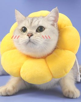Cat Small Dog Recovery Collar, Cute Sunflower Neck Cone After Surgery, Adjustable Pet E Collar, Wound Healing Protective Cone Surgery Recovery Elizabethan Collars For Small Pets