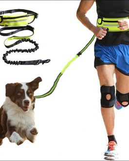 Hands Free Dog Leash Pet Walking And Training Belt With Shock Absorbing Bungee Leash For Up To 180lbs Large Dogs Phone Pocket And Water Bottle Holder