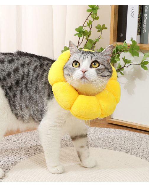 Cat Small Dog Recovery Collar, Cute Sunflower Neck Cone After Surgery, Adjustable Pet E Collar, Wound Healing Protective Cone Surgery Recovery Elizabethan Collars For Small Pets - Image 7